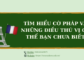 Tìm hiểu về cờ Pháp và những điều thú vị có thể bạn chưa biết