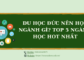Du học Đức nên học ngành gì? Top 5 ngành học hot nhất